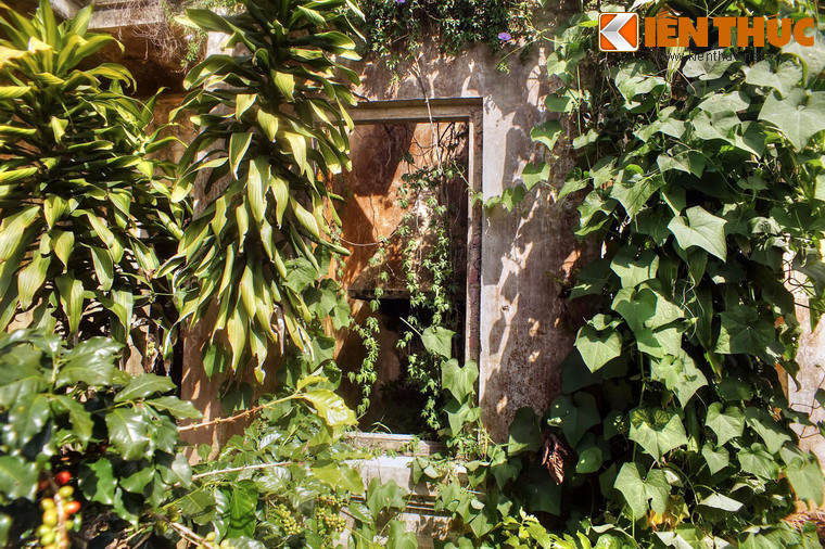 Một phần mặt trước của ga bị bao phủ bởi nhiều loài cây cỏ dại.