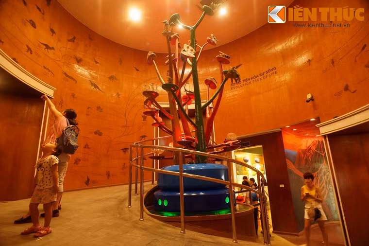 Nhiều khu trưng bày có màn hình trình chiếu, giới thiệu cho du khách nội dung trưng bày một cách trực quan, dễ hiểu. Một gian riêng của Bào tàng dùng để trưng bày cây tiến hoá sinh giới, thể hiện lịch sử 3,6 tỷ năm của thế giới sự sống.