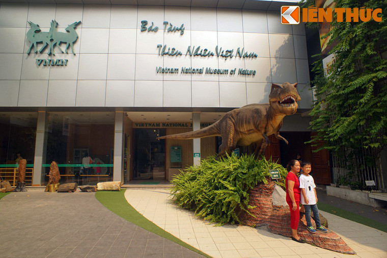1. Nằm trong khuôn viên Viện Hàn lâm Khoa học và Công nghệ Việt Nam (số 18 Hoàng Quốc Việt, Cầu Giấy Hà Nội), Bảo tàng Thiên nhiên Việt Nam được mở cửa từ năm 2014, là nơi trưng bày hàng nghìn mẫu vật đặc sắc, khái quát lịch sử về nguồn gốc sự sống và thiên nhiên Việt Nam.