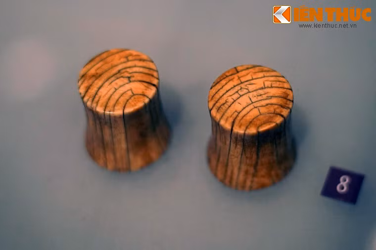 Hoa tai bằng ngà voi của phụ nữ dân tộc Xtiêng ở Bình Phước, sưu tầm năm 1997.