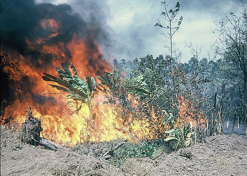 Với sức tàn phá đáng sợ, thiết giáp M132 thực sự là những con "quái vật phun lửa" thời chiến tranh Việt Nam. Ảnh: 15thengineer.