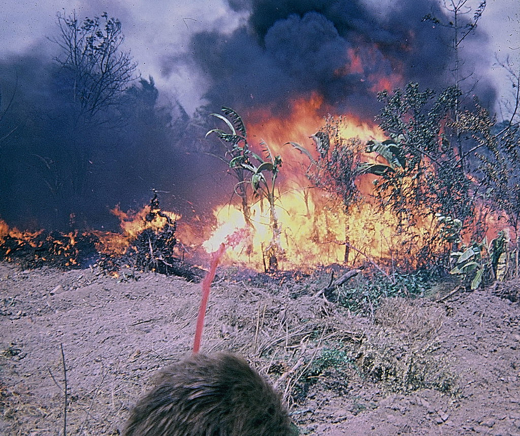 Thành phần nhiên liệu cháy gồm xăng với 10% methanol. Ảnh: 15thengineer.