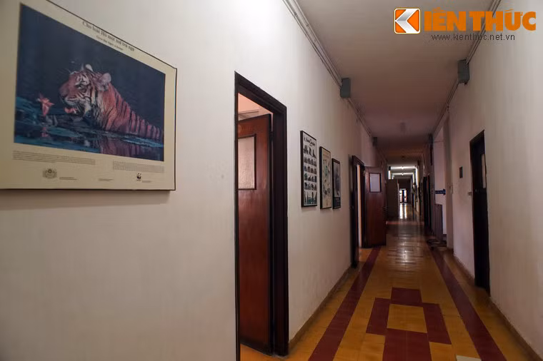 Bảo tàng có 7 gian phòng trưng bày và 6 phòng lưu trữ hàng nghìn mẫu vật có ý nghĩa khoa học và kinh tế phổ biến tại khu vực Tây Nguyên, góp phần phục vụ cho việc học tập, nghiên cứu cũng như ngành du lịch của địa phương.