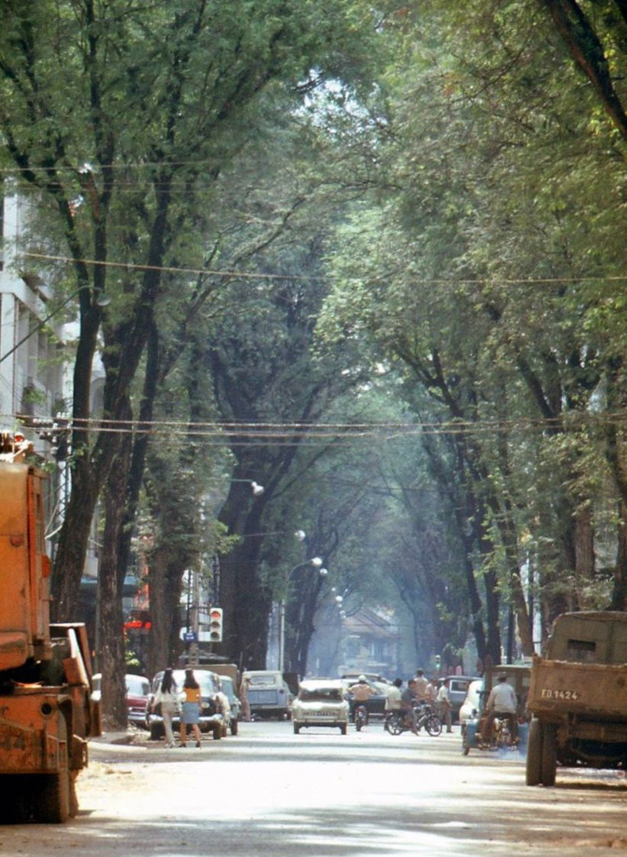 Đường Tự Do rợp bóng cây xanh, tháng 11/1967. Ảnh: Peter Stevens Flickr.