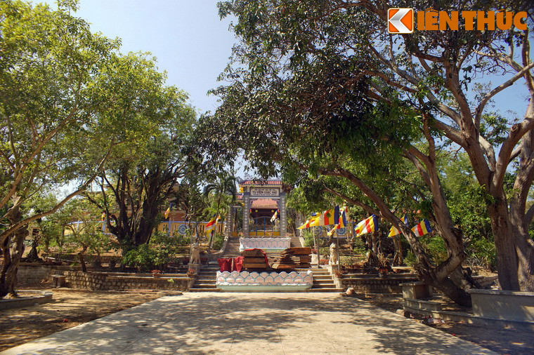 Tu viện nằm trong một khuôn viên rất rộng, bạt ngàn cây xanh, trong đó có nhiều cây cổ thụ.