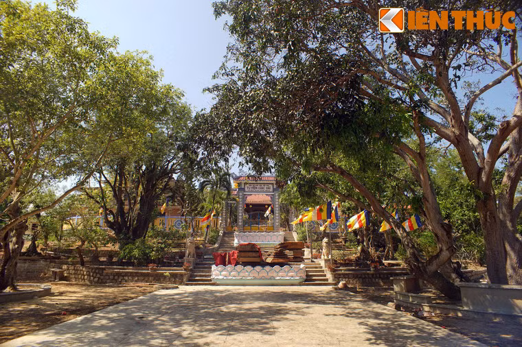 Tu viện nằm trong một khuôn viên rất rộng, bạt ngàn cây xanh, trong đó có nhiều cây cổ thụ.