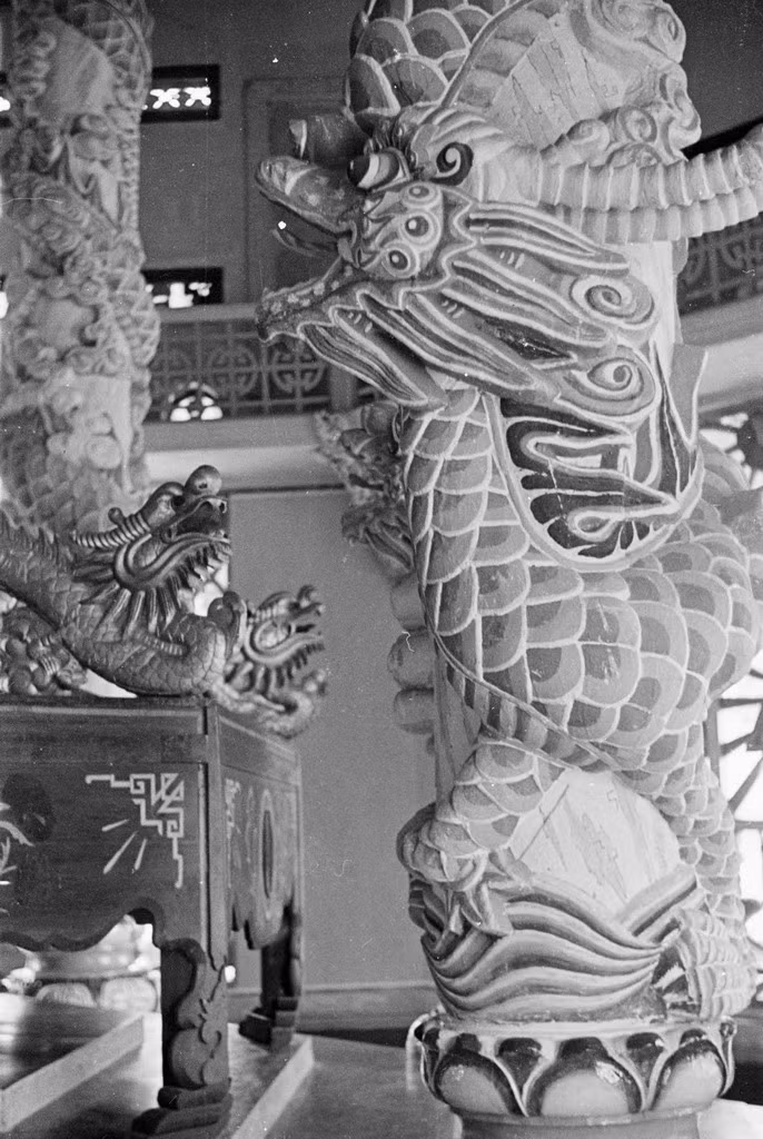 Cận cảnh cột rồng trong Tòa thánh. Ảnh: Harrison Forman.