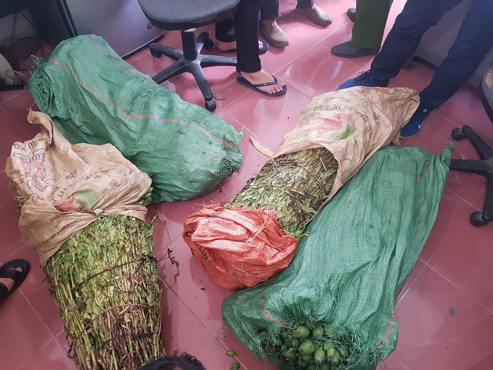 4 thanh nien “chung suc” trong mot nuong thuoc phien de ban