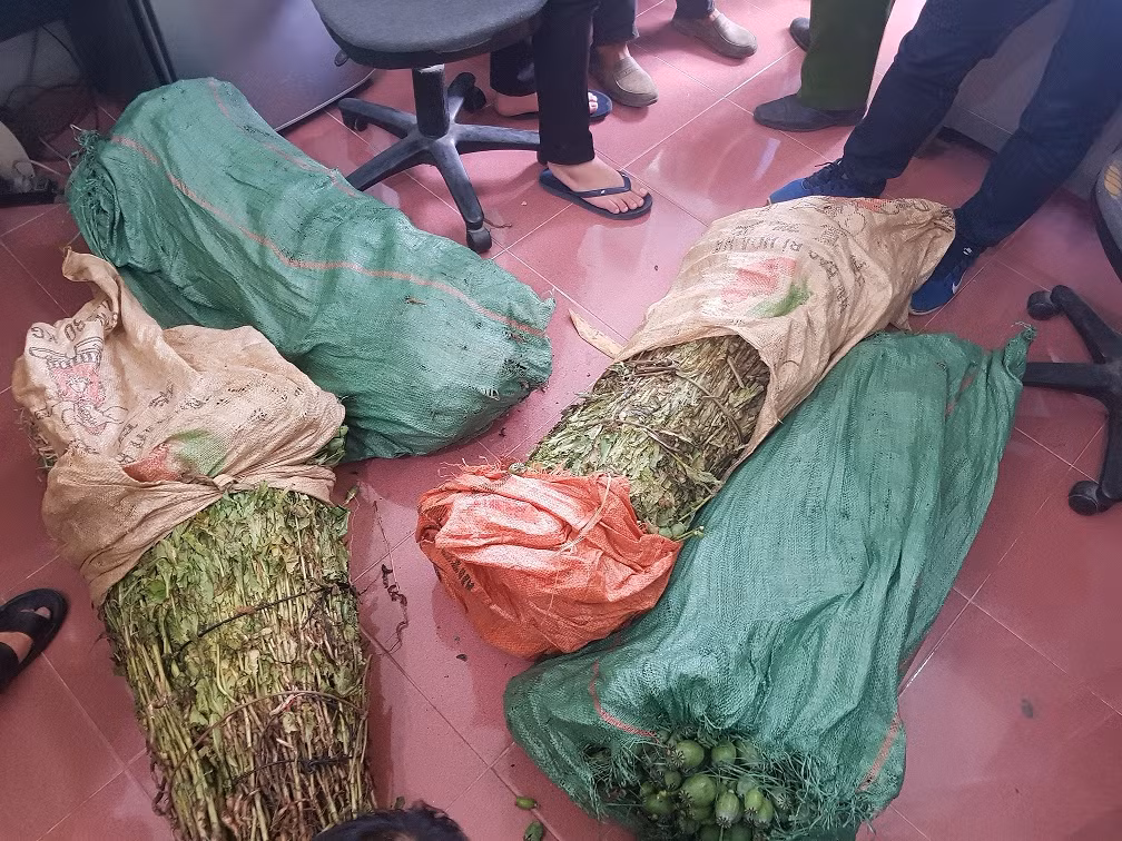 4 thanh nien “chung suc” trong mot nuong thuoc phien de ban