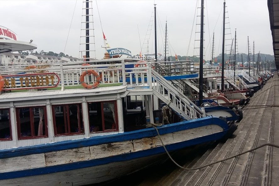 Du khach Nhat nga xuong nuoc, tu vong tai cang Tuan Chau