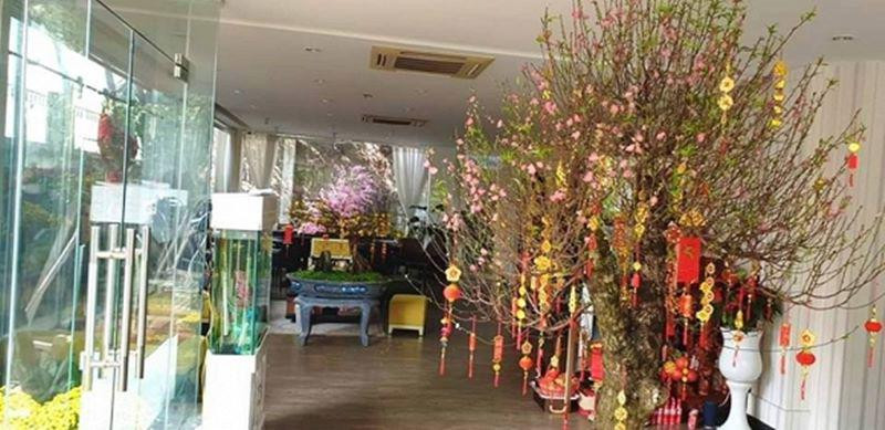 Căn nhà sang trọng hơn vào những ngày lễ Tết.