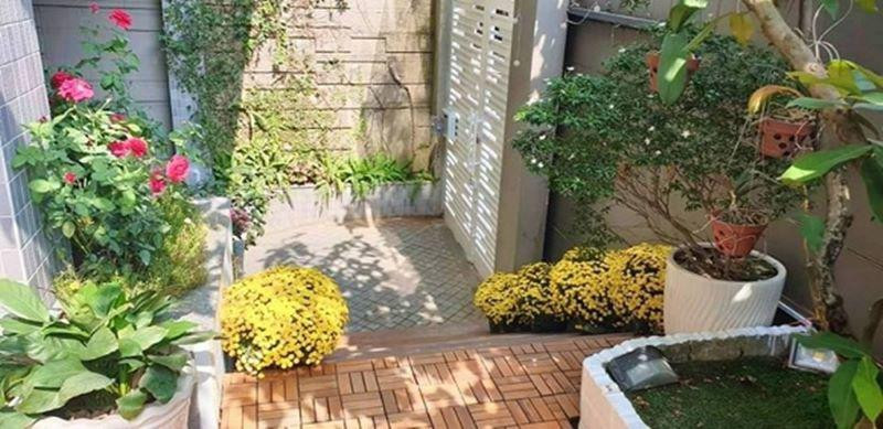 Hoa cúc được đặt khắp lối đi.