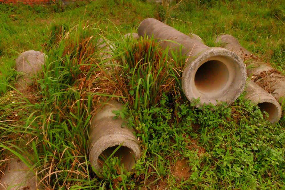 Vật liệu chát đống, cỏ mọc um tùm.