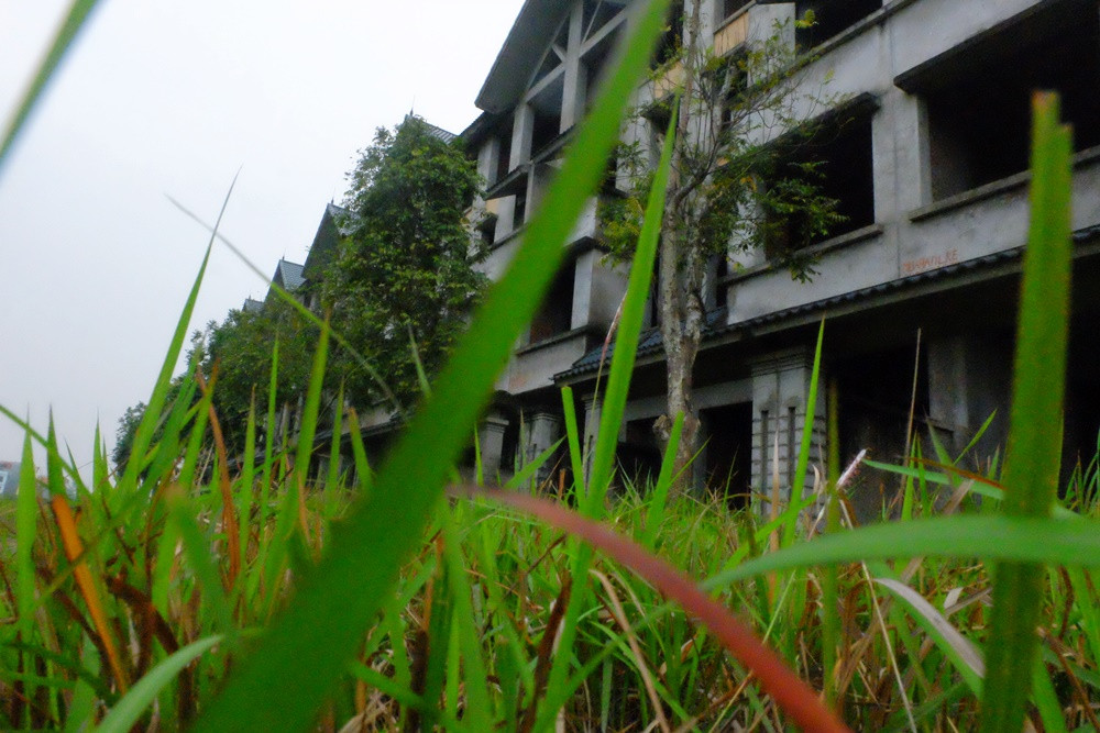 Hơn nữa, dự án này từng được quảng cáo một cách hoành tráng về chất lượng cao, tiện nghi, thân thiện với mô trường, đáp ứng đủ các tiêu chuẩn Việt Nam và quốc tế, quy mô dân số khoảng 20.000 - 30.000 người. Nhưng ghi nhận của PV Kiến Thức đến ngày 20/3, dự án khu đô thị Kim Chung - Di Trạch vẫn bạt ngạt đất với cỏ dại mọc um tùm, hoang vu.