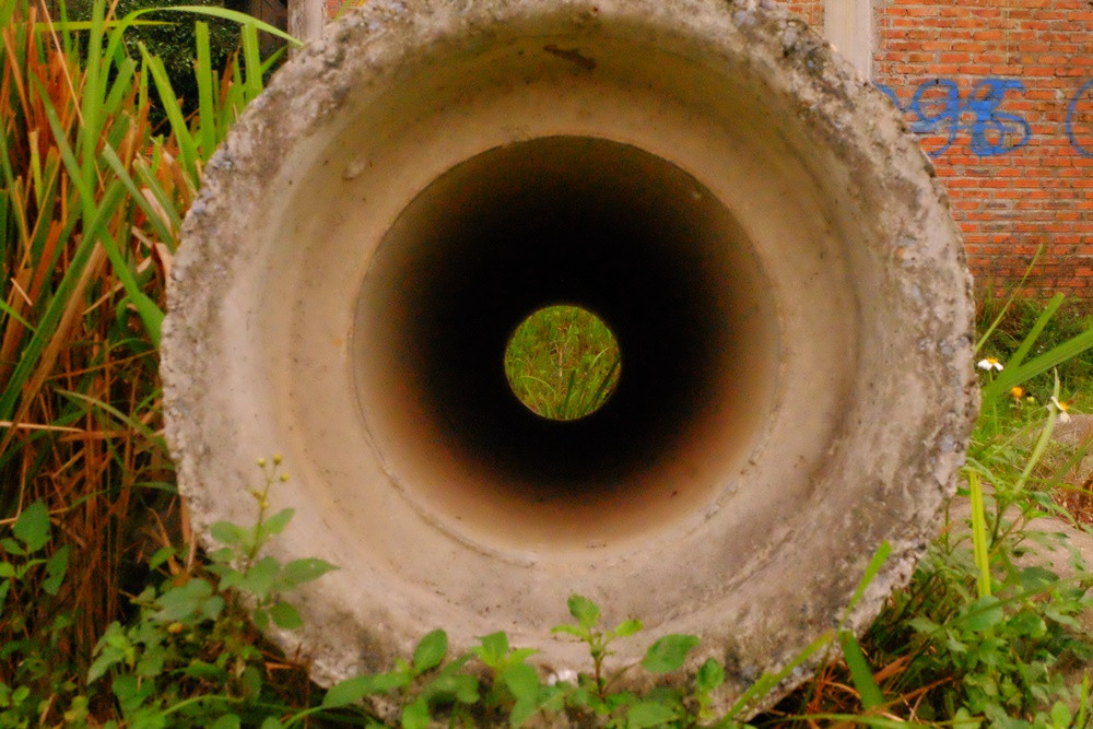 Cống nước nằm ngổn ngang bị cỏ bao phủ bên trong dự án.