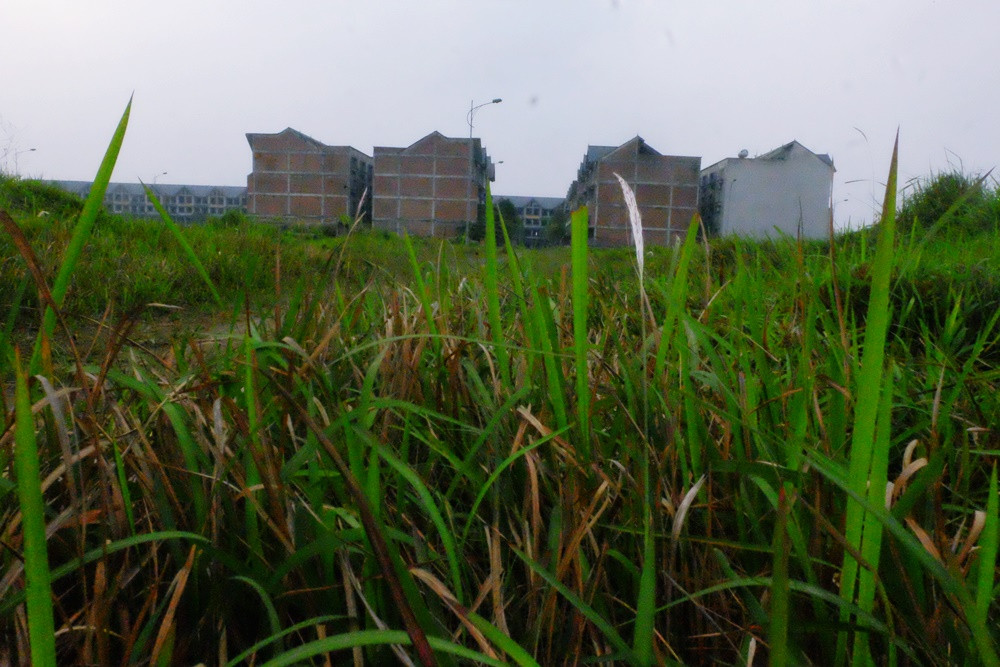 Nơi đây, được kỳ vọng thành một khu đô thị hoành tráng phía Tây của TP Hà Nội. Thời điểm dự án này lên ngôi, mỗi m2 đất dự án có giá tới 50 - 70 triệu đồng, gấp 3 - 4 lần giá gốc.