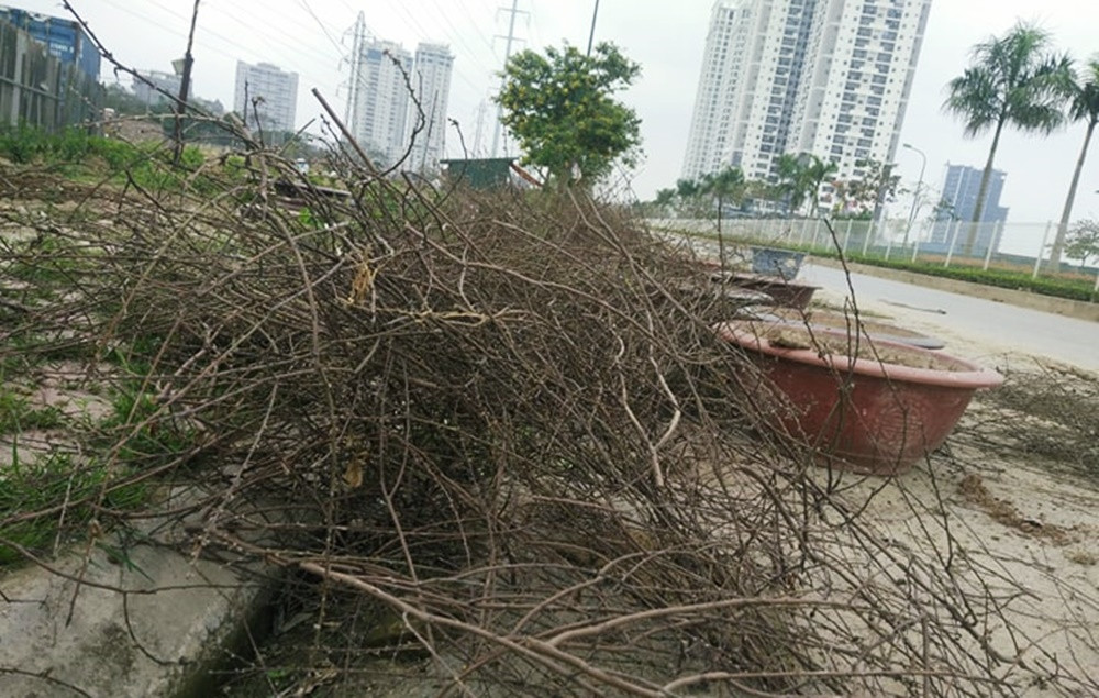 Những cành cây khô, chậu cây cảnh bày biện la liệt dưới lòng đường. Theo quan sát của PV Kiến Thức, ở các bốt bảo vệ trên tuyến đường đều có nhân viên bảo vệ nhưng không hiểu vì sao tình trạng ngập rác trên tuyến đường này vẫn tồn tại khiến những cư dân sinh sống trong các khu đô thị hiện đại xung quanh bức xúc.