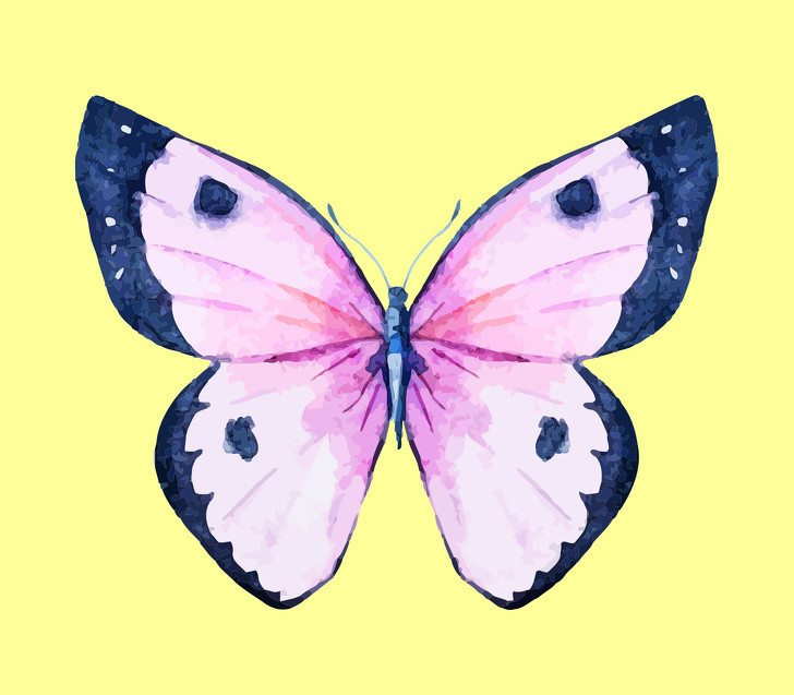  Bạn là người có tư duy lôgic Nếu bạn đã chọn con bướm này, điều đó có nghĩa bạn là một người rất logic và khôn ngoan. Mọi người xung quanh luôn tìm đến bạn để nhận được lời khuyên hoặc lời nhận xét trung thực và mang tính xây dựng vì bạn biết đặt cảm xúc của mình ra khỏi tình huống. Bạn không cho phép cảm xúc của mình lấn át bất kỳ việc gì vì điều đó sẽ ngăn bạn nhìn thấy những gì đúng và những gì sai. Bên cạnh đó, bạn đặt đạo đức lên trên tất cả. Bạn luôn cố gắng làm điều đúng đắn, hợp đạo lý vì với bạn đạo đức trong sạch là một trong những phẩm chất đáng quý nhất.