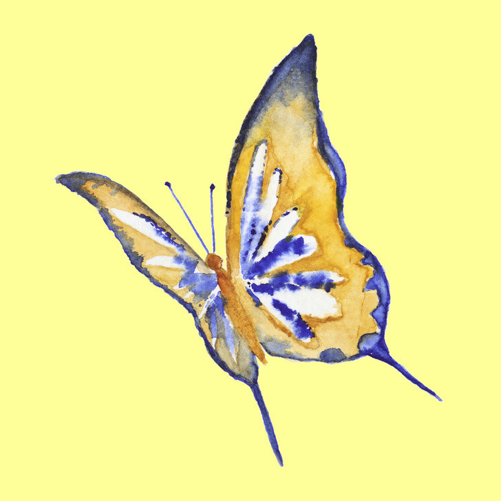  Bạn là một người đầy nhiệt huyết Nếu bạn chọn con bướm này điều đó có nghĩa là người nhiệt tình. Bạn tìm thấy niềm vui trong mọi việc và luôn nhìn thấy mặt tích cực trong mọi tình huống. Ước mơ và mục đích của bạn trong cuộc sống là tích lũy càng nhiều trải nghiệm càng tốt bởi vì bạn tin rằng đây là ý nghĩa thực sự của cuộc sống. Một trong những nỗi sợ lớn nhất của bạn là sự nhàm chán. Bạn tin rằng sự nhàm chán là điều tồi tệ nhất có thể xảy ra với bạn vì bạn nhận ra cuộc sống quá tươi đẹp nhưng cũng thật ngắn ngủi. Sự nhàm chán như một “nhà tù” tinh thần giam giữ khao khát được khám phá thế giới của bạn. Mặc dù bạn có thể hoàn thành công việc vào đúng thời điểm, nhưng hầu hết bạn phải chật vật với thời hạn. Bạn cố gắng làm nhiều việc cùng một lúc vì bạn quá nhiệt tình, điều đó khiến bạn mất tập trung và không mang lại hiệu quả cao. Tuy nhiên đây là một phần rất lớn trong tính cách của bạn, giúp bạn nổi bật hơn và bạn nên chấp nhận tính cách này thay vì cố gắng thay đổi. 