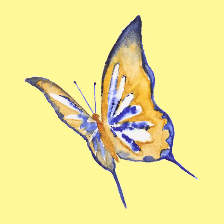  Bạn là một người đầy nhiệt huyết Nếu bạn chọn con bướm này điều đó có nghĩa là người nhiệt tình. Bạn tìm thấy niềm vui trong mọi việc và luôn nhìn thấy mặt tích cực trong mọi tình huống. Ước mơ và mục đích của bạn trong cuộc sống là tích lũy càng nhiều trải nghiệm càng tốt bởi vì bạn tin rằng đây là ý nghĩa thực sự của cuộc sống. Một trong những nỗi sợ lớn nhất của bạn là sự nhàm chán. Bạn tin rằng sự nhàm chán là điều tồi tệ nhất có thể xảy ra với bạn vì bạn nhận ra cuộc sống quá tươi đẹp nhưng cũng thật ngắn ngủi. Sự nhàm chán như một “nhà tù” tinh thần giam giữ khao khát được khám phá thế giới của bạn. Mặc dù bạn có thể hoàn thành công việc vào đúng thời điểm, nhưng hầu hết bạn phải chật vật với thời hạn. Bạn cố gắng làm nhiều việc cùng một lúc vì bạn quá nhiệt tình, điều đó khiến bạn mất tập trung và không mang lại hiệu quả cao. Tuy nhiên đây là một phần rất lớn trong tính cách của bạn, giúp bạn nổi bật hơn và bạn nên chấp nhận tính cách này thay vì cố gắng thay đổi. 