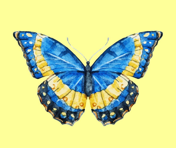 Bạn là người có tâm hồn sáng tạo Bạn cảm nhận cái đẹp hiện hữu ở khắp nơi. Khi nhiều người chỉ nhìn thấy một bông hoa thì bạn có thể thấy cả vũ trụ trong đó. Bạn thích phân tích mọi thứ thậm chí khi bạn không phải làm như vậy. Phân tích những gì xảy ra xung quanh là cách bạn khám phá cuộc sống. Điều này giúp bạn sở hữu tư duy logic và chín chắn hơn. Trong công việc, bạn tôn thờ sự hoàn hảo, bạn thà chậm tiến độ còn hơn là nộp một sản phẩm không mấy xuất sắc đúng hạn. Điều đó khiến bạn trở thành một “con nghiện” công việc nhưng bạn không thấy phiền toái vì bạn thích thú với những điều mình làm. Bạn tìm thấy niềm vui từ những điều nhỏ bé và cố gắng chia sẻ với những người chưa thực sự hiểu bạn. 