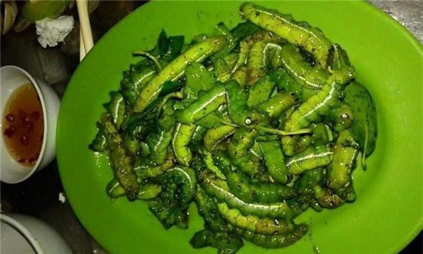 Sâu khoai: Trong số các món nhậu từ sâu, sâu khoai cũng là “mồi nhậu” khoái khẩu của cánh đàn ông. Bề ngoài sâu khoai có thể sẽ khiến bạn “khiếp đảm” vì nó vừa to vừa mềm nhũn, lại xanh nhũn.
