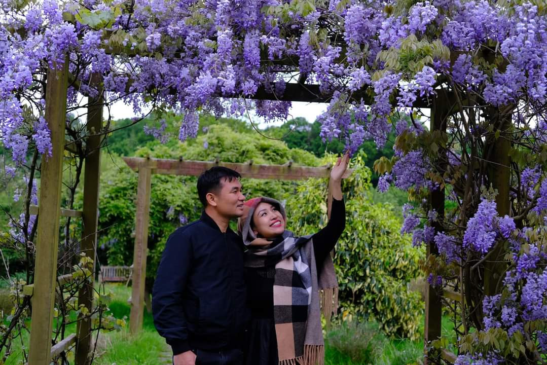 Vợ chồng Vân Hugo ngắm hoa tử đằng.