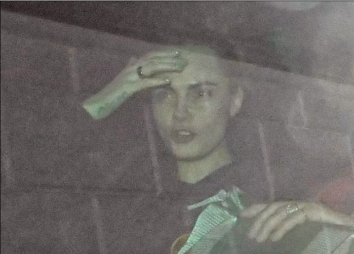 Nguyen nhan vu chay thieu rui biet thu 170 ty cua Cara Delevingne-Hinh-2