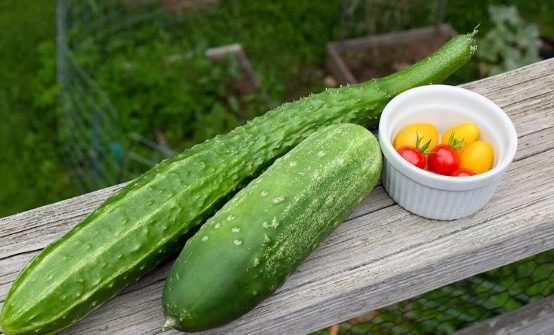 “Sieu trai cay” giup duong am da, khong bi nut ne trong mua dong