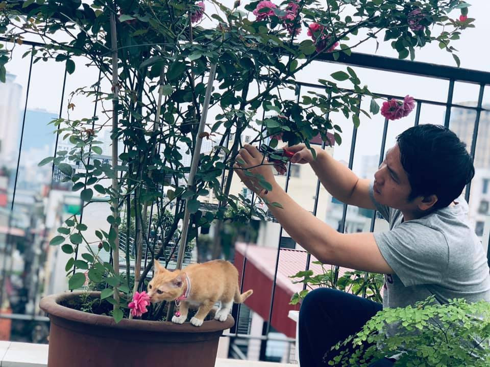 Ca si Trong Tan: Tai hoa, vien man o tuoi 48-Hinh-6