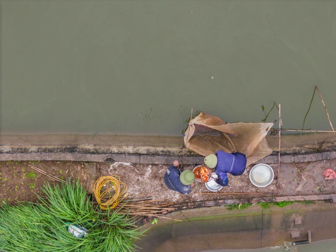 Làng Thủy Trầm được coi là “thủ phủ” nuôi cá chép đỏ lớn nhất miền Bắc những ngày này đã bắt đầu tấp nập cảnh bán, mua. Trên các ao nuôi, bà con nông dân bắt đầu thu hoạch cá chép đỏ bán cho thương lái. (Ảnh: Minh Sơn/Vietnam+)