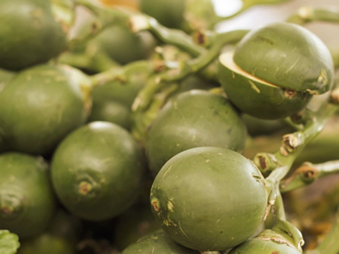 3 loai trai cay cho an vi de “danh thuc” te bao ung thu