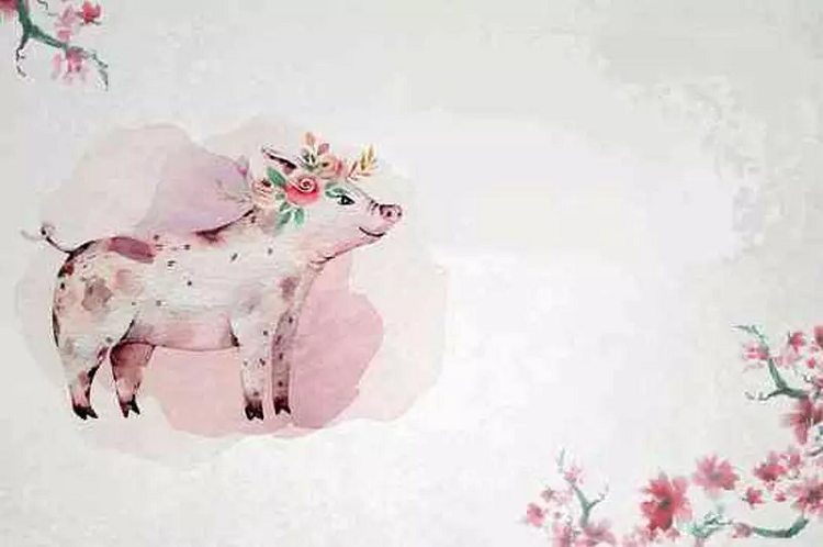 4. Tuổi Hợi. Chỉ số EQ của tuổi Hợi khá cao, IQ không cao bằng nhưng cũng là một người có đầu óc, thông minh và nhanh trí. Trong cuộc sống, tuổi Hợi rất giỏi ứng biến với mọi hoàn cảnh.