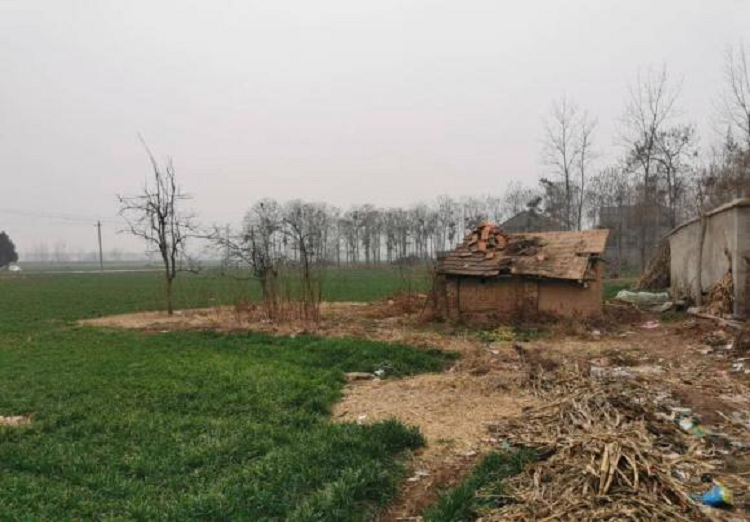 Sau này bố mẹ tôi lên thành phố làm thuê nên tôi cũng lên đó sống cùng, nhìn mâm cơm ngày càng nghèo nàn, chỉ có thể kiềm chế cơn thèm ăn. Bây giờ tôi đã sắp 30 tuổi rồi nhưng chỉ nặng 50kg, là cân nặng quá thấp so với một người đàn ông. Biết nhà nghèo, chỉ có thể cố gắng tiết kiệm tiền, mẹ tôi gần như chẳng có khái niệm gì về việc tiêu tiền cho con cái. Hồi cấp ba, mỗi tuần chỉ có khoảng 300 ngàn, có lần tôi xin nhiều hơn mấy chục ngàn thì lại nghi ngờ là tôi yêu sớm. Đúng là tư duy của người nghèo, ngay cả việc cần tiêu bao nhiêu tiền cho người yêu mà bố mẹ tôi cũng không biết, cũng chẳng hề hỏi. Điều đáng sợ hơn cả là thứ mà cái nghèo mang đến không chỉ là sự thiếu thốn về vật chất mà còn có cả sự tự ti, mặc cảm từ sâu trong tiềm thức. Hơn nữa, điều đáng sợ nhất chính là thầy cô, bạn bè khi biết nhà bạn nghèo thì bạn sẽ trở thành tầng lớp thấp kém nhất trong mối quan hệ xã giao. Rồi trong vô thức người ta sẽ dùng bạo lực về tinh thần để bắt nạt bạn, coi đó làm niềm vui, vì họ biết rằng bạn chẳng dám chống lại.