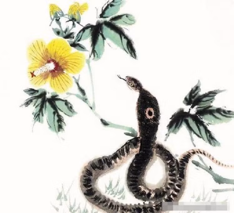 Người sinh năm con Rắn trời sinh đã có nhiều phúc khí, vận đen càng hanh thông, nửa năm sau sự nghiệp của họ sẽ càng khởi sắc. 