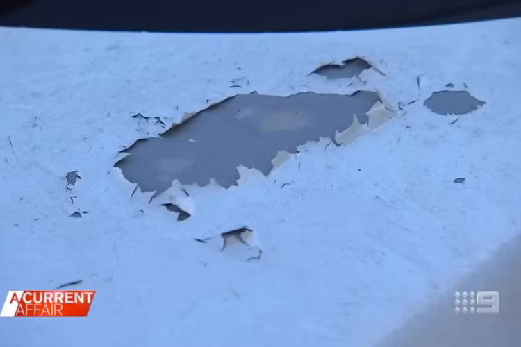 Theo hãng Toyota, những chiếc xe có nguy cơ bị bong tróc sơn tại Úc bao gồm: Corolla sản xuất từ ngày 6/9/2007 - 24/3/2014; Corolla Hatchback sản xuất từ 10/1/2012 - 30/9/2014; và Rukus sản xuất từ 22/8/2011 - 25/12/2015. Hãng Toyota khẳng định những mẫu xe đời mới hơn không bị lỗi này. Tuy nhiên, theo phản ánh của người dùng thì những chiếc Toyota RAV4 và Land Cruiser Prado tại Úc cũng gặp tình trạng tương tự.