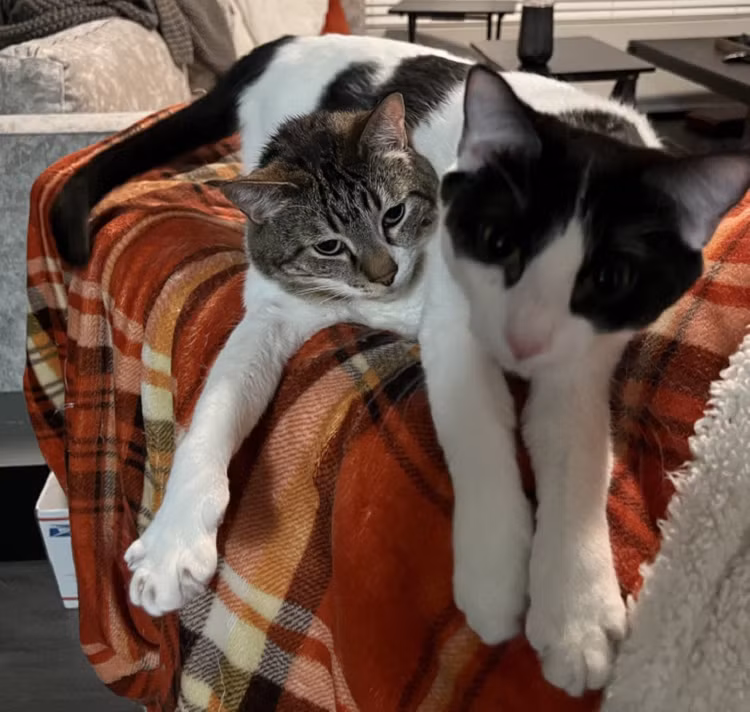 15 buc anh gay 'sot' nho chup dung luc, dung thoi diem-Hinh-13