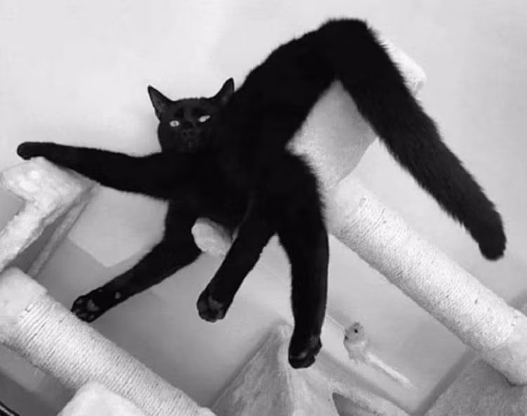 15 buc anh gay 'sot' nho chup dung luc, dung thoi diem-Hinh-11