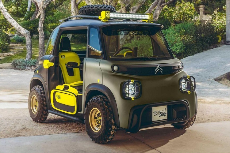 Theo Citroen, tất cả 50 chiếc My Ami Buggy đã được bán hết trong thời gian chỉ 17 phút 28 giây. Khách hàng đặt mua và thanh toán trực tuyến nhanh nhất đã hoàn thành giao dịch trong 2 phút 53 giây. Khách hàng đặc biệt này sẽ nhận được 1 trong 50 chiếc My Ami Buggy cá nhân hóa với tên của họ xuất hiện trên xe.