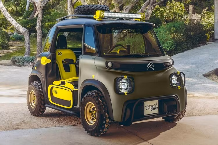 Theo Citroen, tất cả 50 chiếc My Ami Buggy đã được bán hết trong thời gian chỉ 17 phút 28 giây. Khách hàng đặt mua và thanh toán trực tuyến nhanh nhất đã hoàn thành giao dịch trong 2 phút 53 giây. Khách hàng đặc biệt này sẽ nhận được 1 trong 50 chiếc My Ami Buggy cá nhân hóa với tên của họ xuất hiện trên xe.