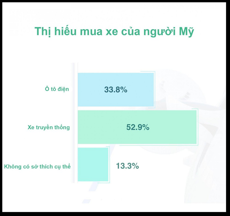 Nguoi My chiu chi cho oto dien hon xe xang, co hoi cho VinFast?-Hinh-2