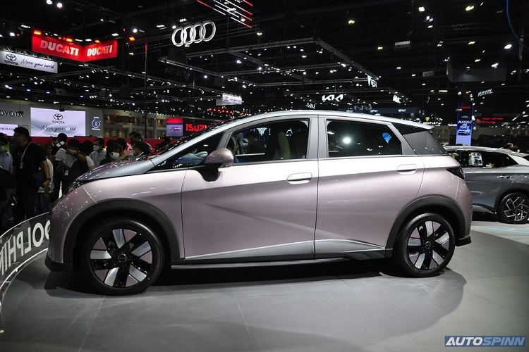  BYD Dolphin 2023 mới được phát triển dựa trên cơ sở gầm bệ e-platform 3.0 dành riêng cho ôtô điện của BYD. Xe có kích thước cụ thể gồm chiều dài 4.150 mm, chiều rộng 1.770 mm, chiều cao 1.570 mm và chiều dài cơ sở 2.700 mm. Bên cạnh đó, xe còn sử dụng hệ thống treo MacPherson với thanh cân bằng phía trước và hệ thống treo dầm xoắn đằng sau.