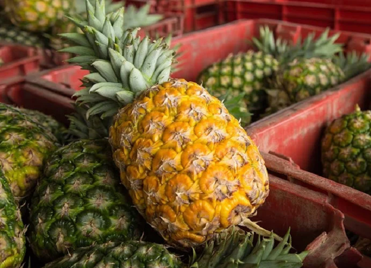 Cach chon dua tuoi ngon, chin ngot lim, an khong rat luoi