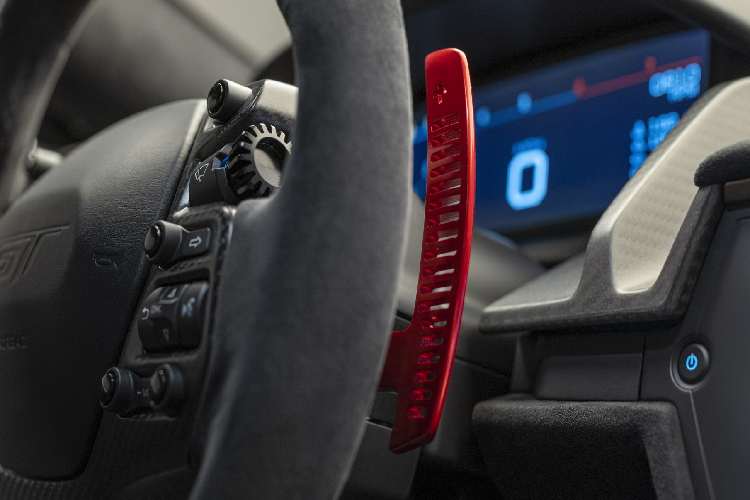 Mẫu xe chỉ được phân phối cho khách hàng đã sở hữu bản thường Ford GT. Ở Việt Nam, đã có hai chiếc Ford GT được đưa về Việt Nam trong năm 2021. Mẫu xe nổi bật với tông màu đỏ và cửa mở hình cánh bướm.