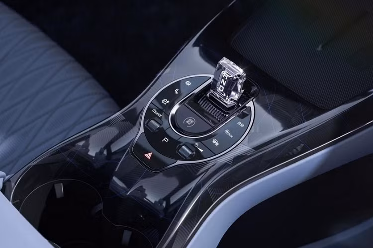 BYD Seal được cung cấp ra thị trường nội địa Trung Quốc với tất cả 4 phiên bản. Phiên bản tiêu chuẩn Elite có hệ dẫn động cầu sau, bộ pin 61,44 kWh cho phạm vi 550 km, và giá bán là 212.800 nhân dân tệ (741 triệu đồng). Ở phiên bản thứ hai có tên Premium, nó sử dụng cùng một mô tơ điện và pin, nhưng có giá 225.800 RMB (786 triệu đồng). BYD chưa nêu chi tiết sự khác biệt của chúng.