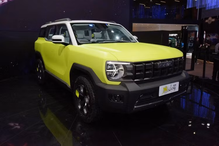 Tại triển lãm Ô tô Thượng Hải 2021, thương hiệu Haval thuộc hãng Great Wall Motors (Trường Thành) đã giới thiệu mẫu concept mới mang tên X-Dog với khách hàng Trung Quốc. Sau gần 1 năm, X-Dog đã được đưa lên dây chuyền sản xuất thương mại và lấy tên Haval Cool Dog 2022 mới.