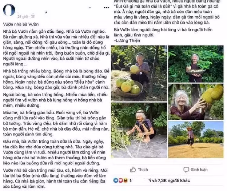 Bài văn tả cái vườn toàn dấu huyền vừa ngạc nhiên vừa cảm động Bai van ta cai vuon toan dau huyen vua ngac nhien vua cam dong