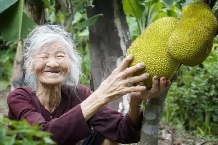 Bai van ta cai vuon toan dau huyen vua ngac nhien vua cam dong-Hinh-3