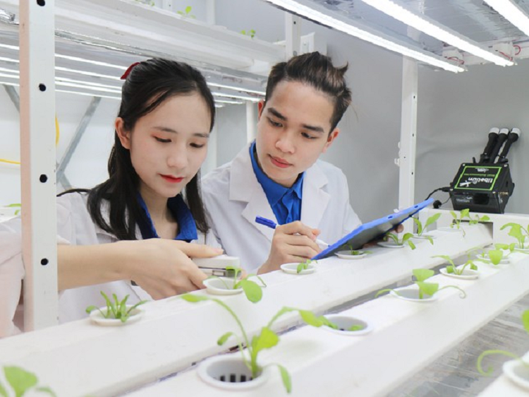 Nu sinh 10x duoc ket nap Dang tu khi hoc lop 12-Hinh-2