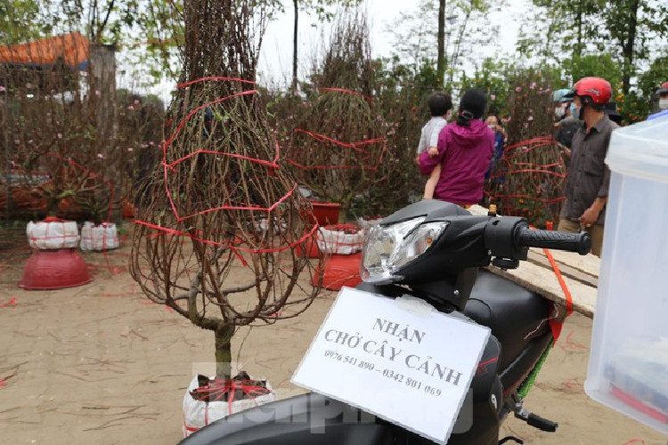 Cho thue quat, dao Tet tan nha kiem tien trieu moi ngay-Hinh-2